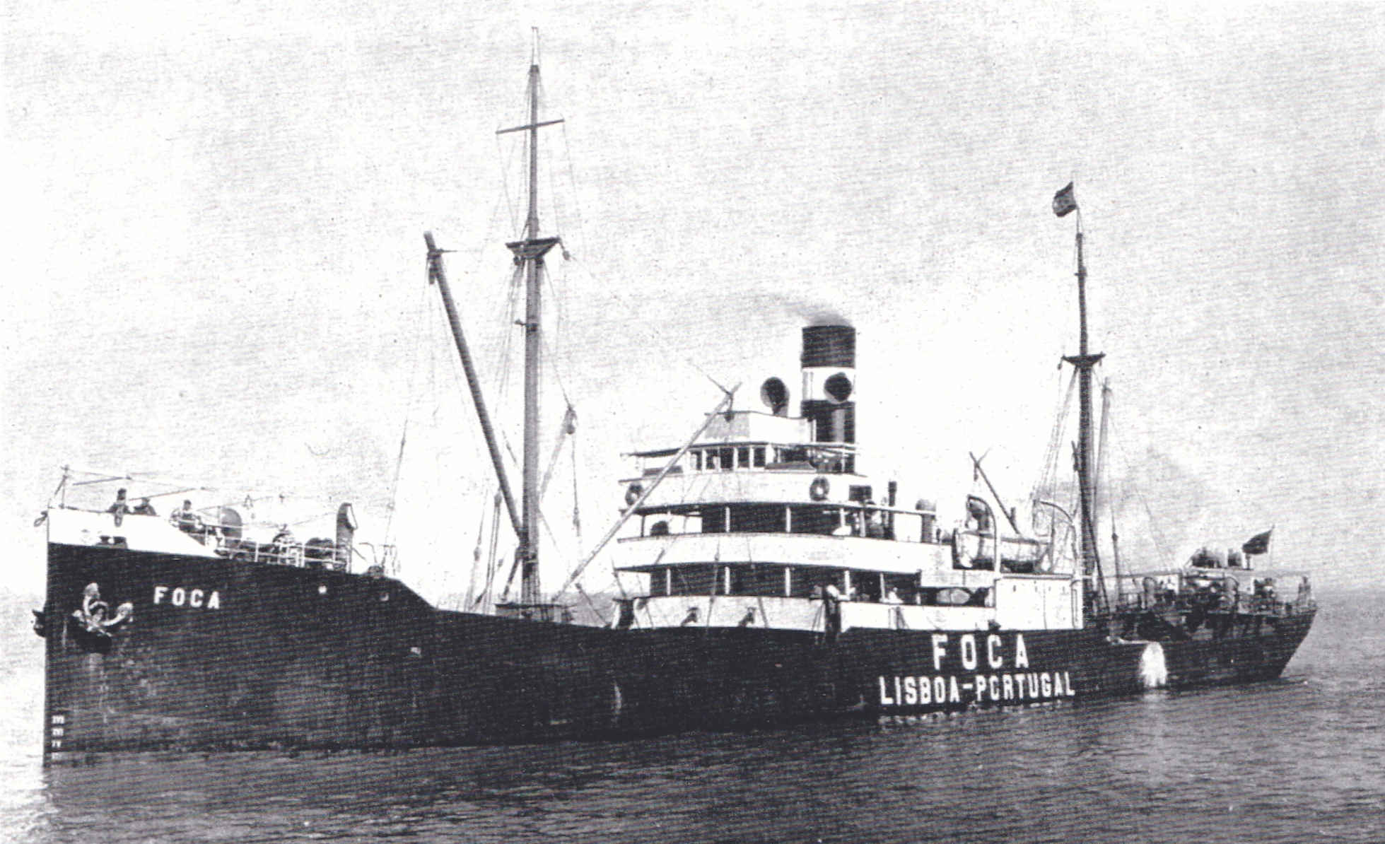 The Foca